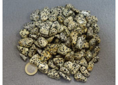 Dalmatier Jaspis S/M 500 gr