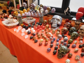 Schedels / skulls