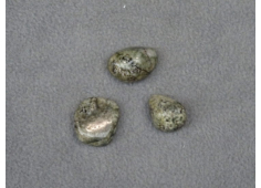 Dioptaas