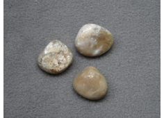 Lavendel Calciet