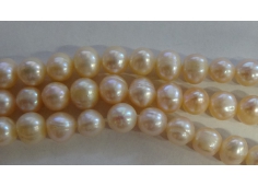 Parel creme kralen 11-12 mm