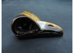 Raven Schedel Tijgeroog