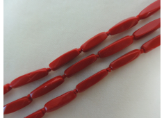 Bloedkoraal 12-16 mm