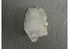 Apofylliet