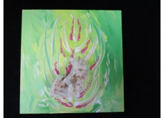 Krachtschild terug naar je roots