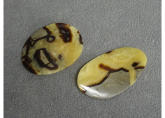 Septarie