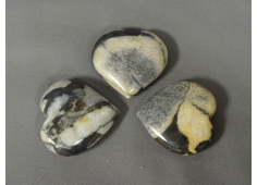Shell jaspis 5.5 cm