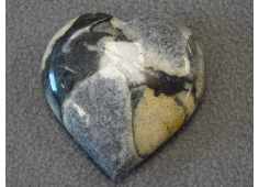 Shell jaspis 5.5 cm