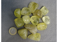 Citrien (natuurlijk) M/L 250 gram
