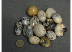 Dendriet Opaal L/XL 500 gr