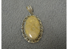 Coral met zilver