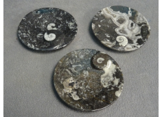 Fossielen schaaltje rond met schelp