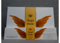 Angel Guide