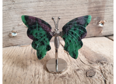 Vlinder Robijn in Zoisiet