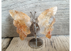 Vlinder Golden Healer Lemurium