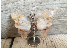 Vlinder Golden healer Lemurium