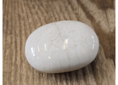 Scolesiet massage schijf