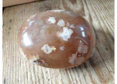jumbo Bloemagaat