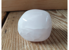 jumbo Mangano Calciet
