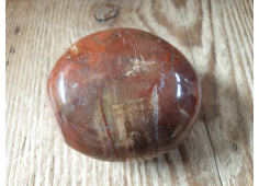 jumbo Versteend Hout
