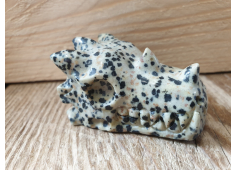 Dalmatier Jaspis draak