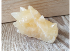 Oranje Calciet draak