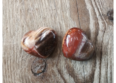 Aanbieding Versteend Hout hart