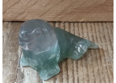 Fluoriet zeehond