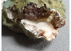 Witte Stilbiet grotje ruw