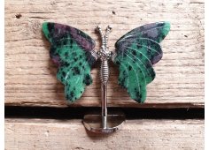 Vlinder Robijn in Zoisiet