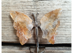 Vlinder Golden Healer Lemurium