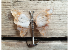 Vlinder Golden healer Lemurium