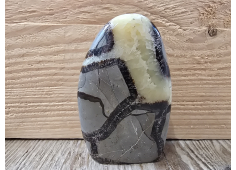 Freeform Septarie