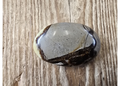 Septarie massage schijf