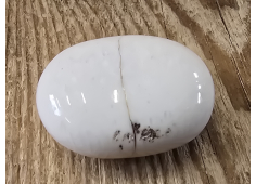 Scolesiet massage schijf