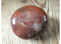 jumbo Versteend Hout