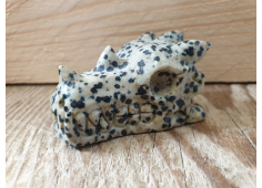 Dalmatier Jaspis draak