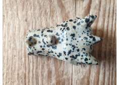 Dalmatier Jaspis draak