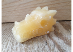 Oranje Calciet draak