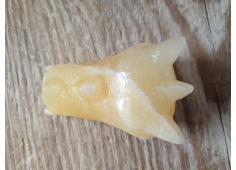 Oranje Calciet draak