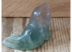 Fluoriet zeehond