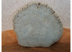 Versteend hout schijf