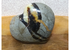 Septarie hart